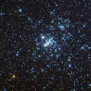 Meet your Posher, Vivien